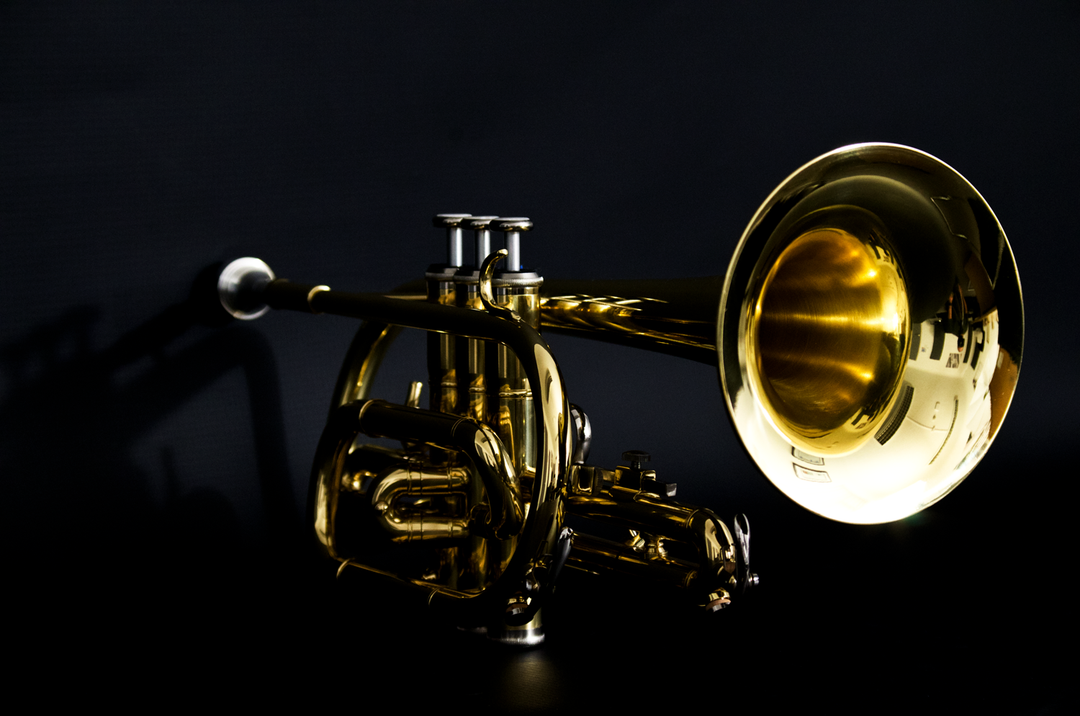 john-packer-jp071-bb-cornet – John Packer US International
