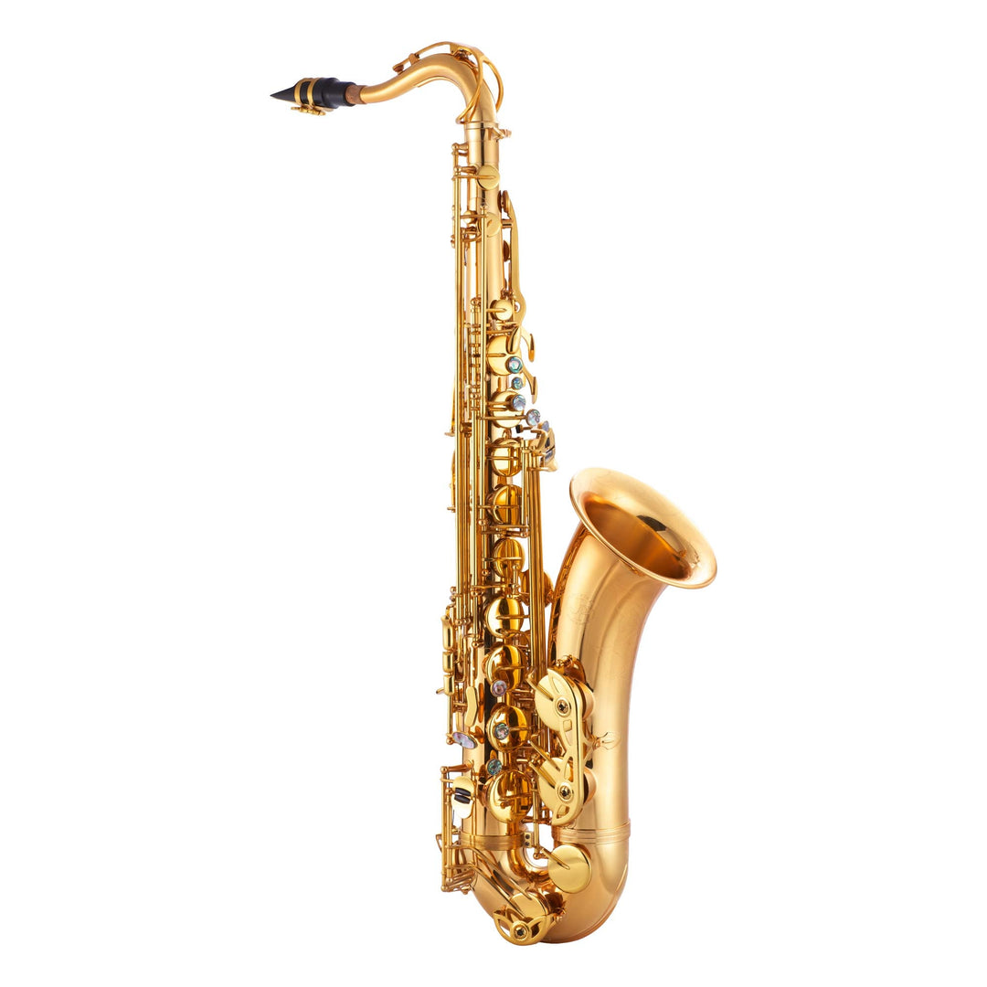 【10435】 Schenkelaars saxophone ジャンク 10435】 Schenkelaars saxophone ジャンク