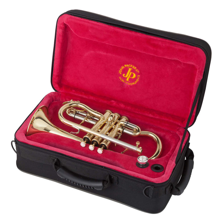 洋楽 JOHNSON ENOS 1999 AOR JP146-Atom-Sopranino-Saxophone