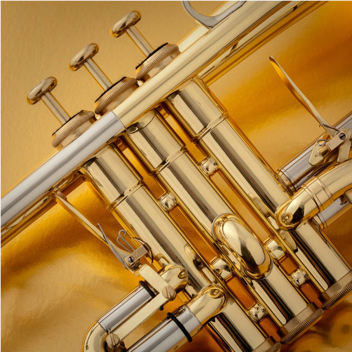 JP176-Cornet-Lacquer-MACRO-