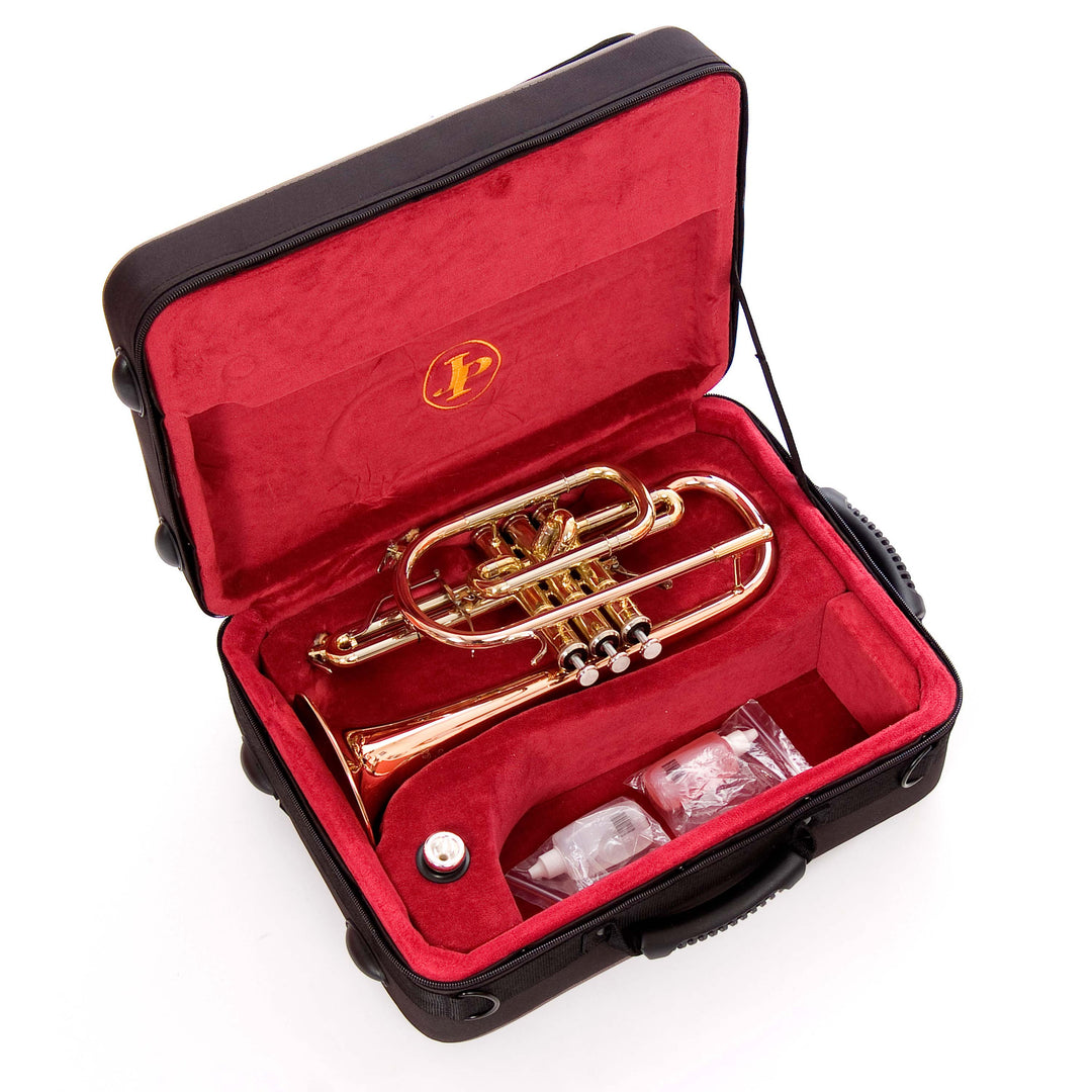 JP271SWL-INSTRUMENT-IN-CASE-
